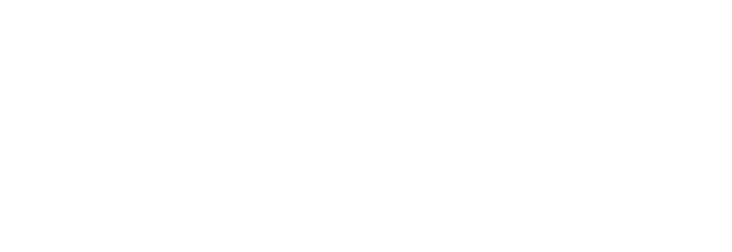 Technology Consultant